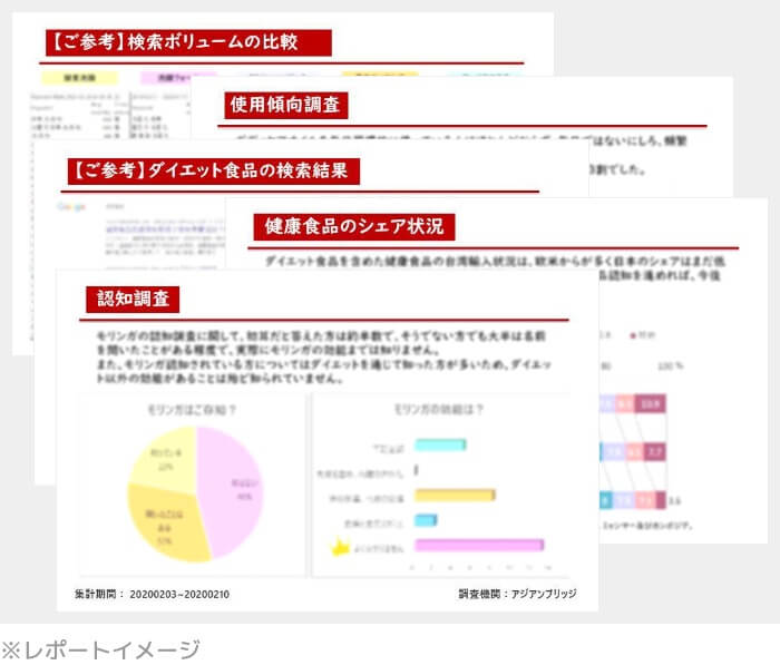 レポートイメージ